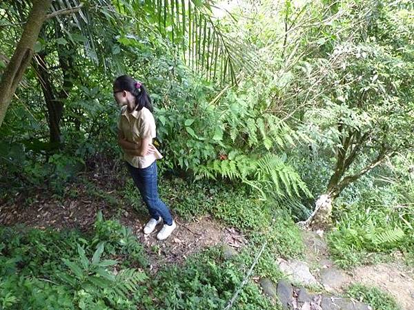 南港山攀岩步道 137