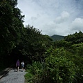 林美石磐步道.櫻花陵園.味珍香卜肉店.三星阿婆蔥餅.梅花湖.金車外澳伯朗咖啡館 031