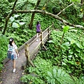 林美石磐步道.櫻花陵園.味珍香卜肉店.三星阿婆蔥餅.梅花湖.金車外澳伯朗咖啡館 065