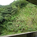 林美石磐步道.櫻花陵園.味珍香卜肉店.三星阿婆蔥餅.梅花湖.金車外澳伯朗咖啡館 164