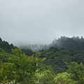 林美石磐步道.櫻花陵園.味珍香卜肉店.三星阿婆蔥餅.梅花湖.金車外澳伯朗咖啡館 189