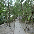 林美石磐步道.櫻花陵園.味珍香卜肉店.三星阿婆蔥餅.梅花湖.金車外澳伯朗咖啡館 310