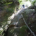 南港山攀岩全家福.南港山南峰.九五峰.南港山 056