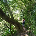 南港山攀岩全家福.南港山南峰.九五峰.南港山 101