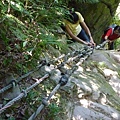 南港山攀岩全家福.南港山南峰.九五峰.南港山 129