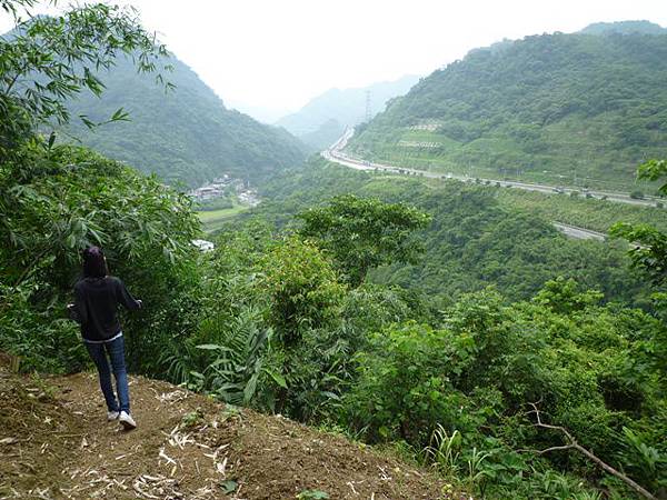 松柏山裝鑛務課230號基石.隆盛山.賴仲坑山 057