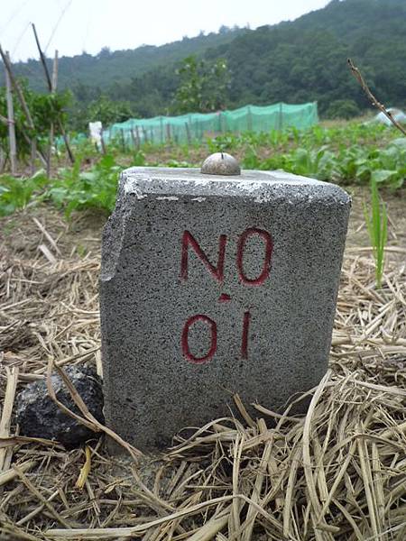 楊梅龜山.福人步道 215