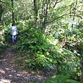 艷紅路子松柏山莊鑛務課230基石.嶺腳寮山.靈巖寺艷紅鹿子百合 030