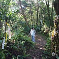 艷紅路子松柏山莊鑛務課230基石.嶺腳寮山.靈巖寺艷紅鹿子百合 047