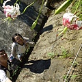 艷紅路子松柏山莊鑛務課230基石.嶺腳寮山.靈巖寺艷紅鹿子百合 076