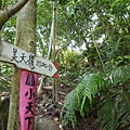 昊天嶺.石象山.石獅山.石猴山.北五堵一等水準點未遇.蘇家古厝.忠順廟 025