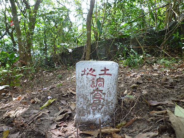 昊天嶺.石象山.石獅山.石猴山.北五堵一等水準點未遇.蘇家古厝.忠順廟 034