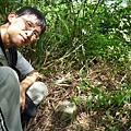 昊天嶺.石象山.石獅山.石猴山.北五堵一等水準點未遇.蘇家古厝.忠順廟 041