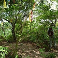 昊天嶺.石象山.石獅山.石猴山.北五堵一等水準點未遇.蘇家古厝.忠順廟 047