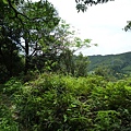 昊天嶺.石象山.石獅山.石猴山.北五堵一等水準點未遇.蘇家古厝.忠順廟 084
