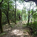 昊天嶺.石象山.石獅山.石猴山.北五堵一等水準點未遇.蘇家古厝.忠順廟 085
