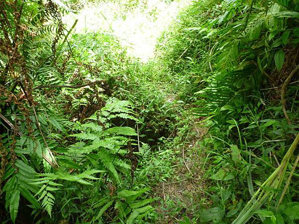 昊天嶺.石象山.石獅山.石猴山.北五堵一等水準點未遇.蘇家古厝.忠順廟 111