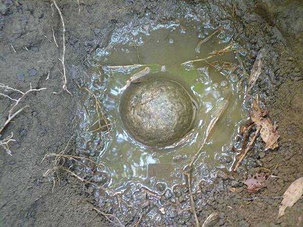 台北二二八紀念公園陸檢0007號一等水準點 023