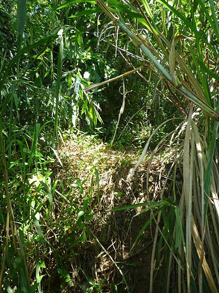 外石崁山.萬芳山 071