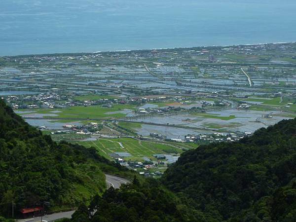 永安八卦茶園.金面大觀.虎字碑.鴻子口山.25號造林地基石 060