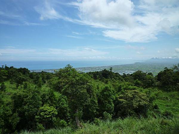 永安八卦茶園.金面大觀.虎字碑.鴻子口山.25號造林地基石 148