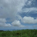 永安八卦茶園.金面大觀.虎字碑.鴻子口山.25號造林地基石 159