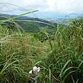 永安八卦茶園.金面大觀.虎字碑.鴻子口山.25號造林地基石 169