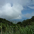 永安八卦茶園.金面大觀.虎字碑.鴻子口山.25號造林地基石 173