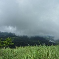 永安八卦茶園.金面大觀.虎字碑.鴻子口山.25號造林地基石 182