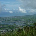 永安八卦茶園.金面大觀.虎字碑.鴻子口山.25號造林地基石 206