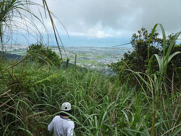 永安八卦茶園.金面大觀.虎字碑.鴻子口山.25號造林地基石 220