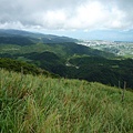 永安八卦茶園.金面大觀.虎字碑.鴻子口山.25號造林地基石 223