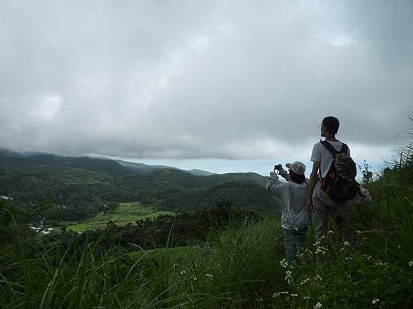 永安八卦茶園.金面大觀.虎字碑.鴻子口山.25號造林地基石 229