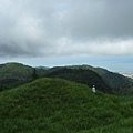 永安八卦茶園.金面大觀.虎字碑.鴻子口山.25號造林地基石 235