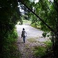 永安八卦茶園.金面大觀.虎字碑.鴻子口山.25號造林地基石 249