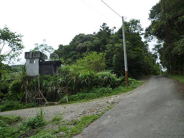 永安八卦茶園.金面大觀.虎字碑.鴻子口山.25號造林地基石 255