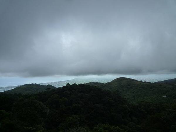 永安八卦茶園.金面大觀.虎字碑.鴻子口山.25號造林地基石 256