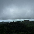 永安八卦茶園.金面大觀.虎字碑.鴻子口山.25號造林地基石 256