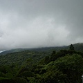 永安八卦茶園.金面大觀.虎字碑.鴻子口山.25號造林地基石 257