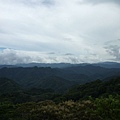 永安八卦茶園.金面大觀.虎字碑.鴻子口山.25號造林地基石 259