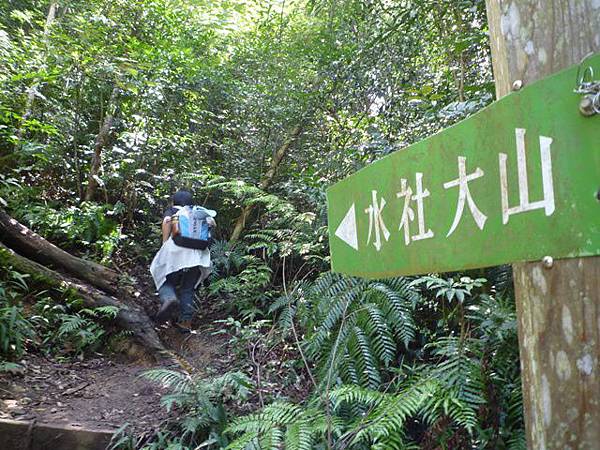 水社大山 054