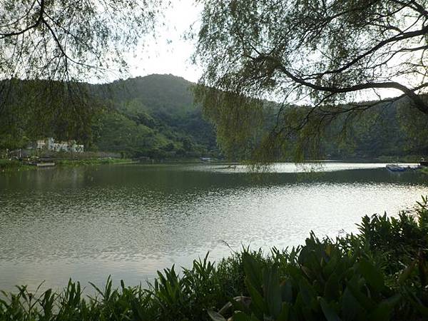 2012泳渡日月潭 189