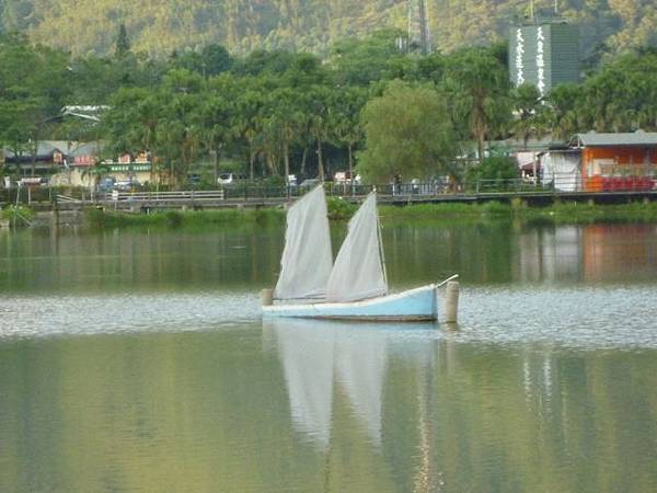 2012泳渡日月潭 209