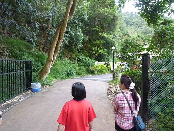 2012泳渡日月潭 217