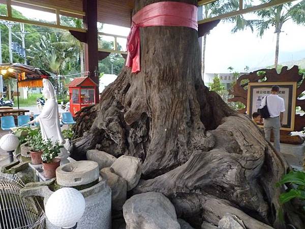 2012泳渡日月潭 254