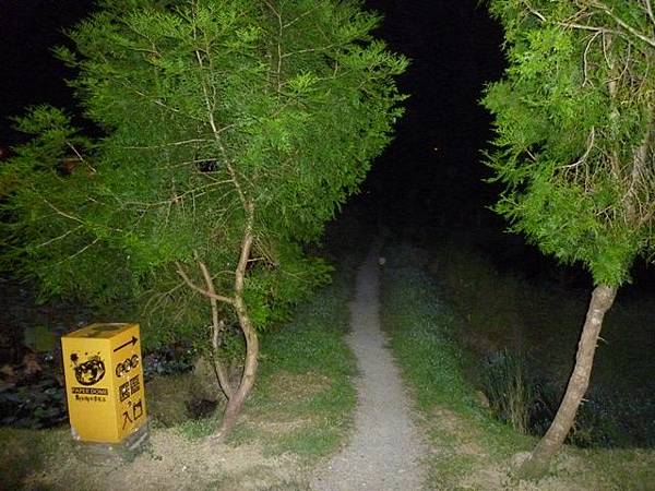 2012泳渡日月潭 293