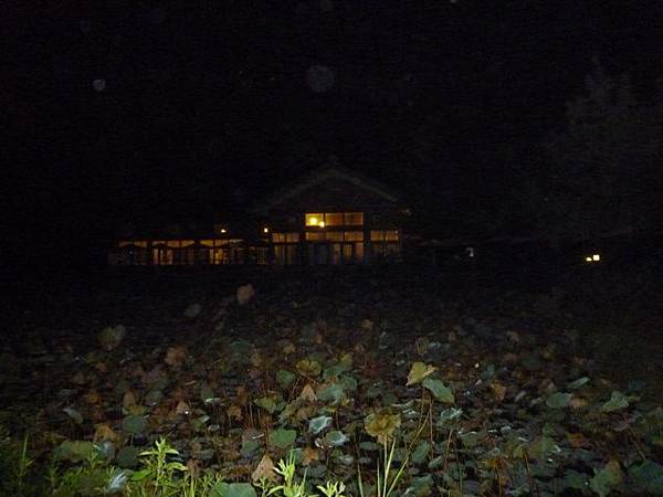 2012泳渡日月潭 297