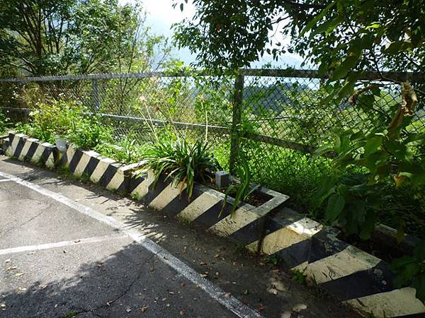 2012泳渡日月潭 556