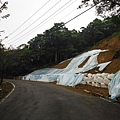 阿柔洋山.文山區忠魂碑、畜魂碑 030