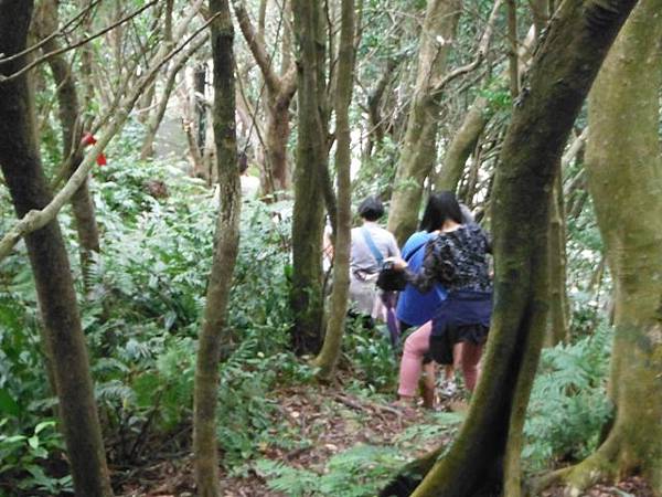 阿柔洋山.文山區忠魂碑、畜魂碑 045